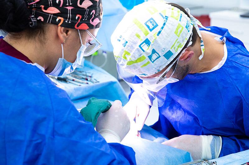 Konsultacja z implantologiem