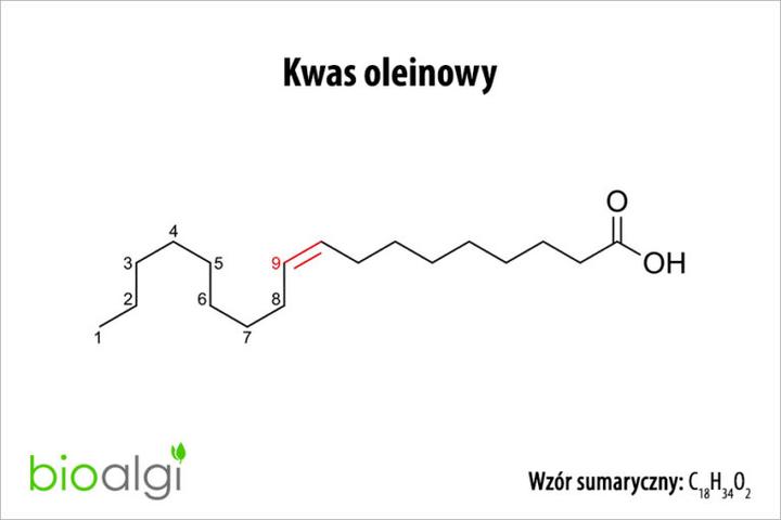 Kwas palmitynowy a skóra