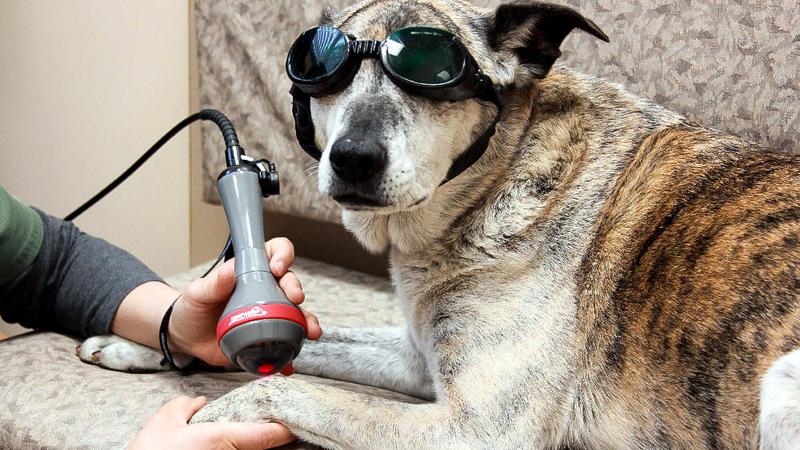 Laseroterapia w leczeniu bólu