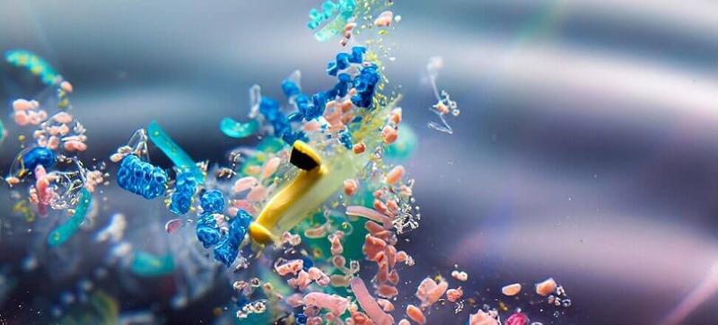 Wpływ mikroplastiku na środowisko